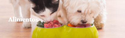 Banner Mobile 1