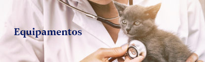 Banner Mobile 1