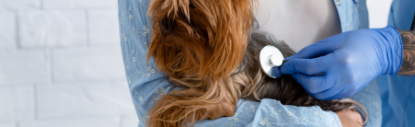 Banner Mobile 1