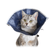 Colar-Elizabetano-Soft-Gatos-Caes-Buster-Cx-C-10-Un