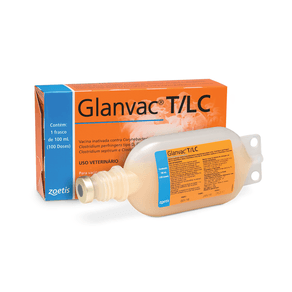 Glavac