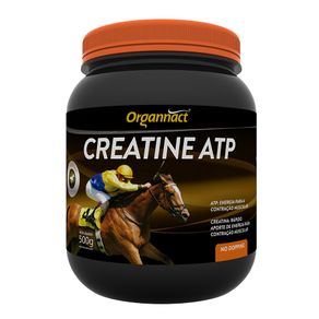 _0038_Creatine-ATP-500g