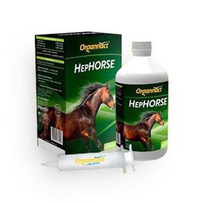 _0027_Hephorse-500-Ml