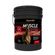 _0021_Muscle-Horse-15Kg