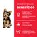 Edit__0024_science-diet-filhote-minis-e-pquenos--3-