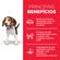 Edit__0014_science-diet-filhotes--3-