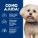 ANT10559--5-