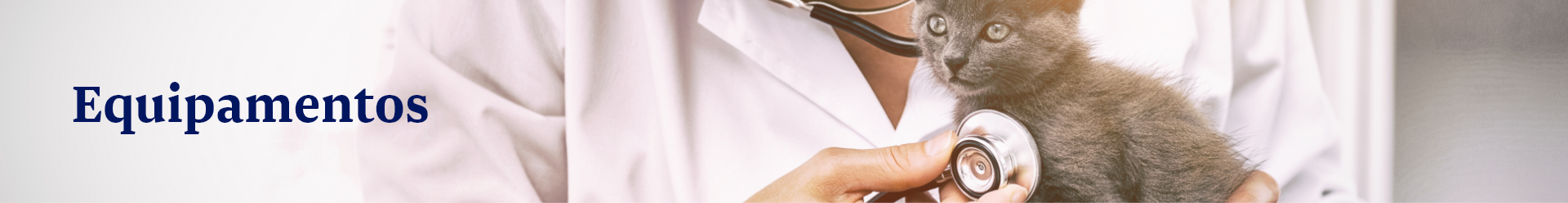 Banner Desk 1