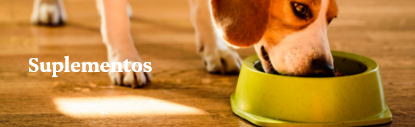 Banner Mobile 1