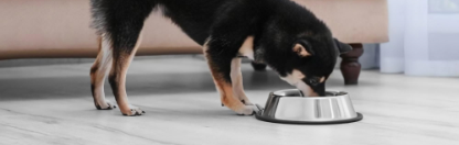 Banner mobile 1