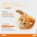 advocate-gato--3-