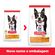 ANT-09301--2-