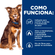 Como-Funciona