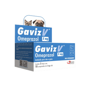 imgi_53_novo-gaviz-1---Editado